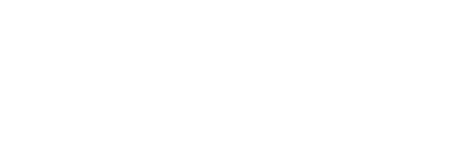 Logo Visa